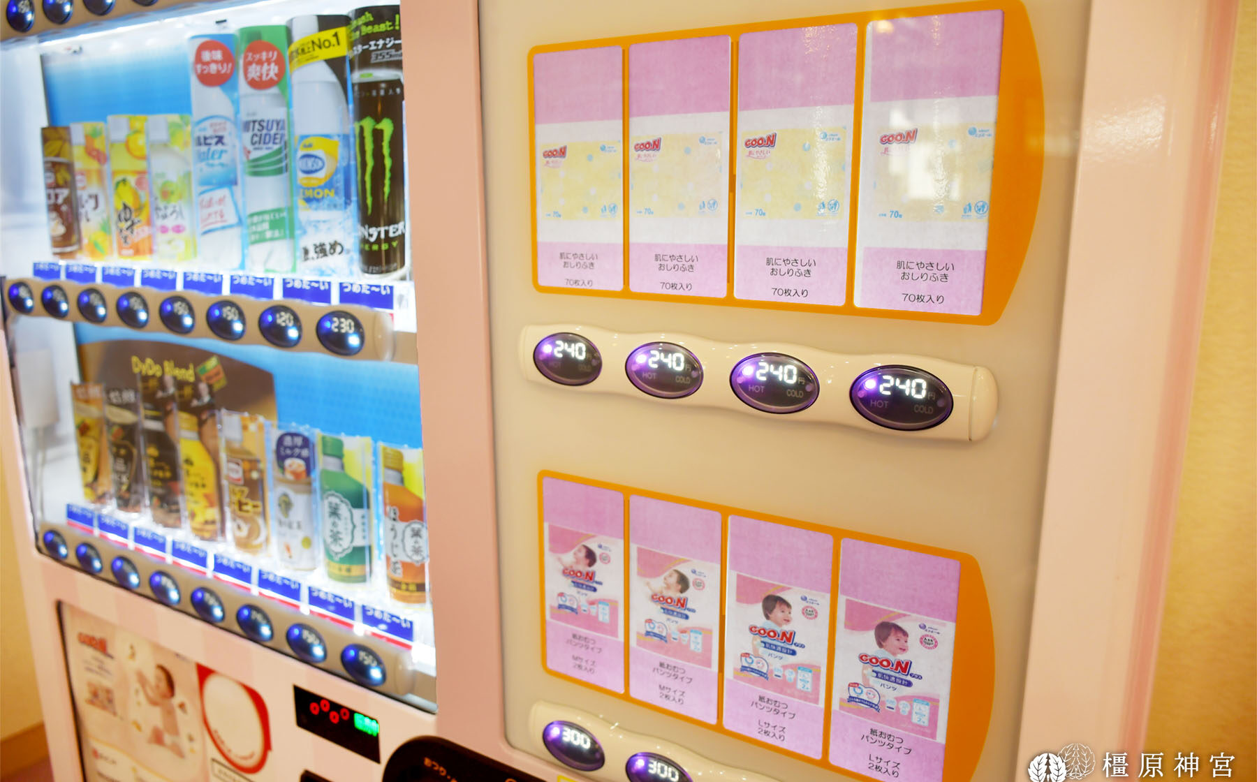 橿原神宮 境内の見どころ 